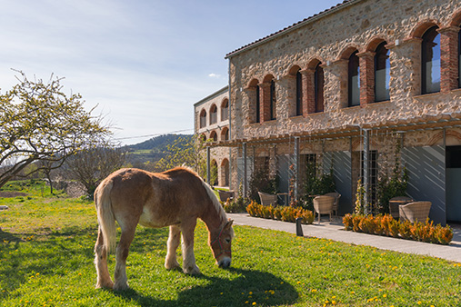 Vista de la façana i el jardí amb un cavall